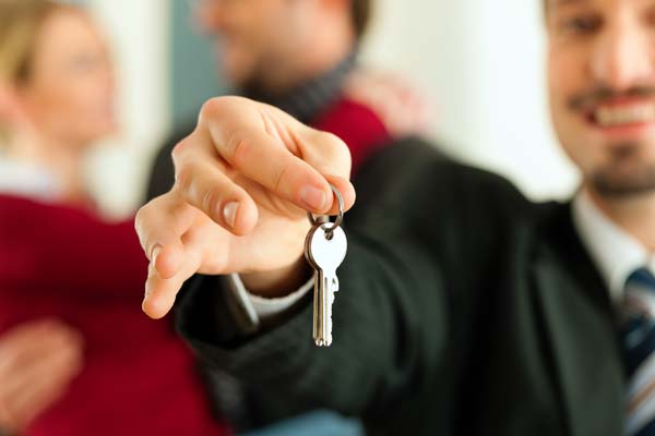 Related Party Transfers Greater Dandenong